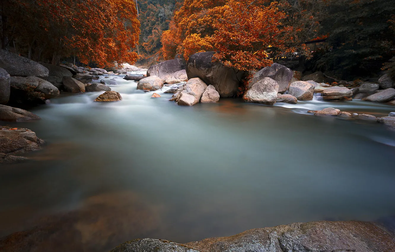 Фото обои осень, лес, природа, река, камни