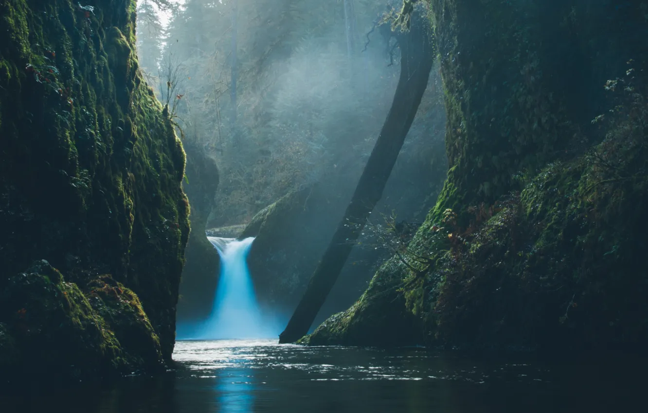 Фото обои лес, вода, природа, водопад