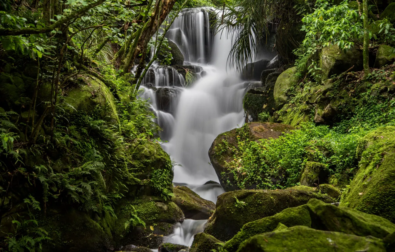 Фото обои вода, зеленый, камни, водопад, мох