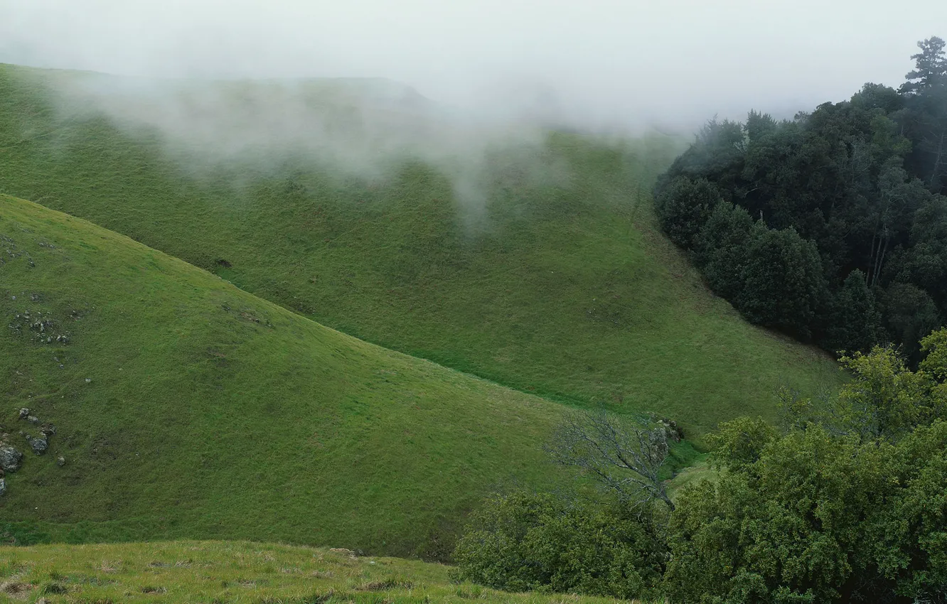 Фото обои зеленый, туман, холмы