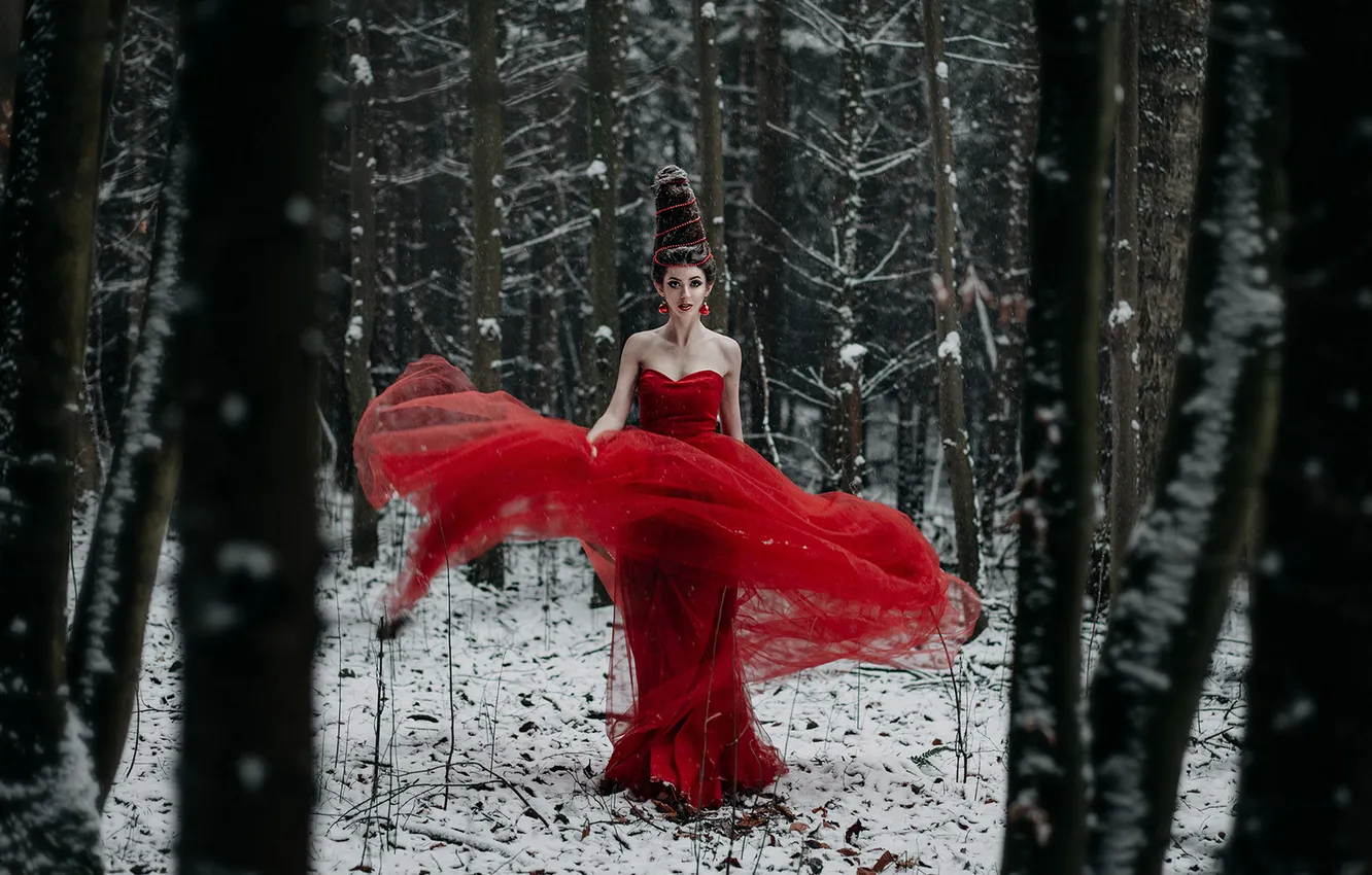 Фото обои зима, лес, взгляд, девушка, снег, природа, поза, стиль