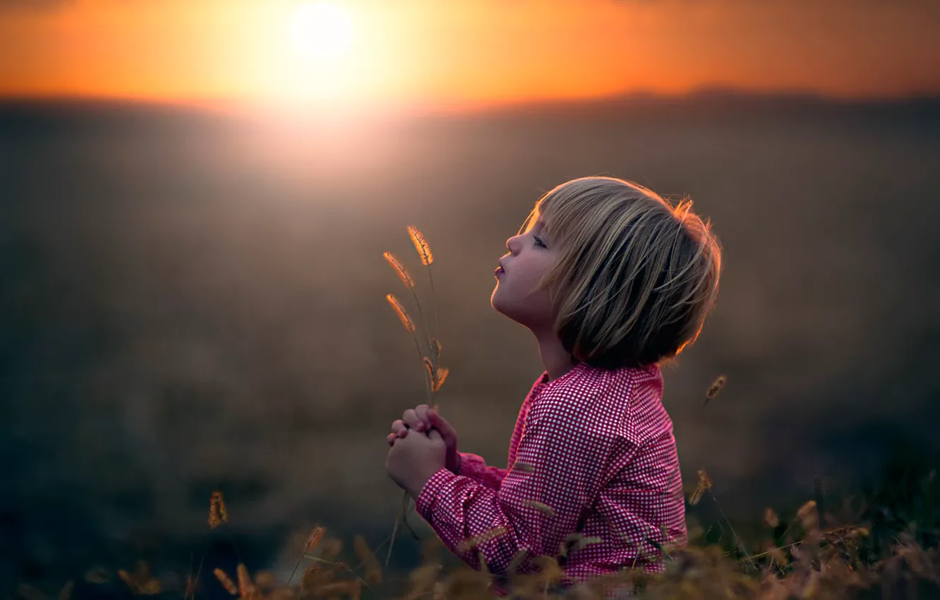 Фото обои поле, солнце, девочка