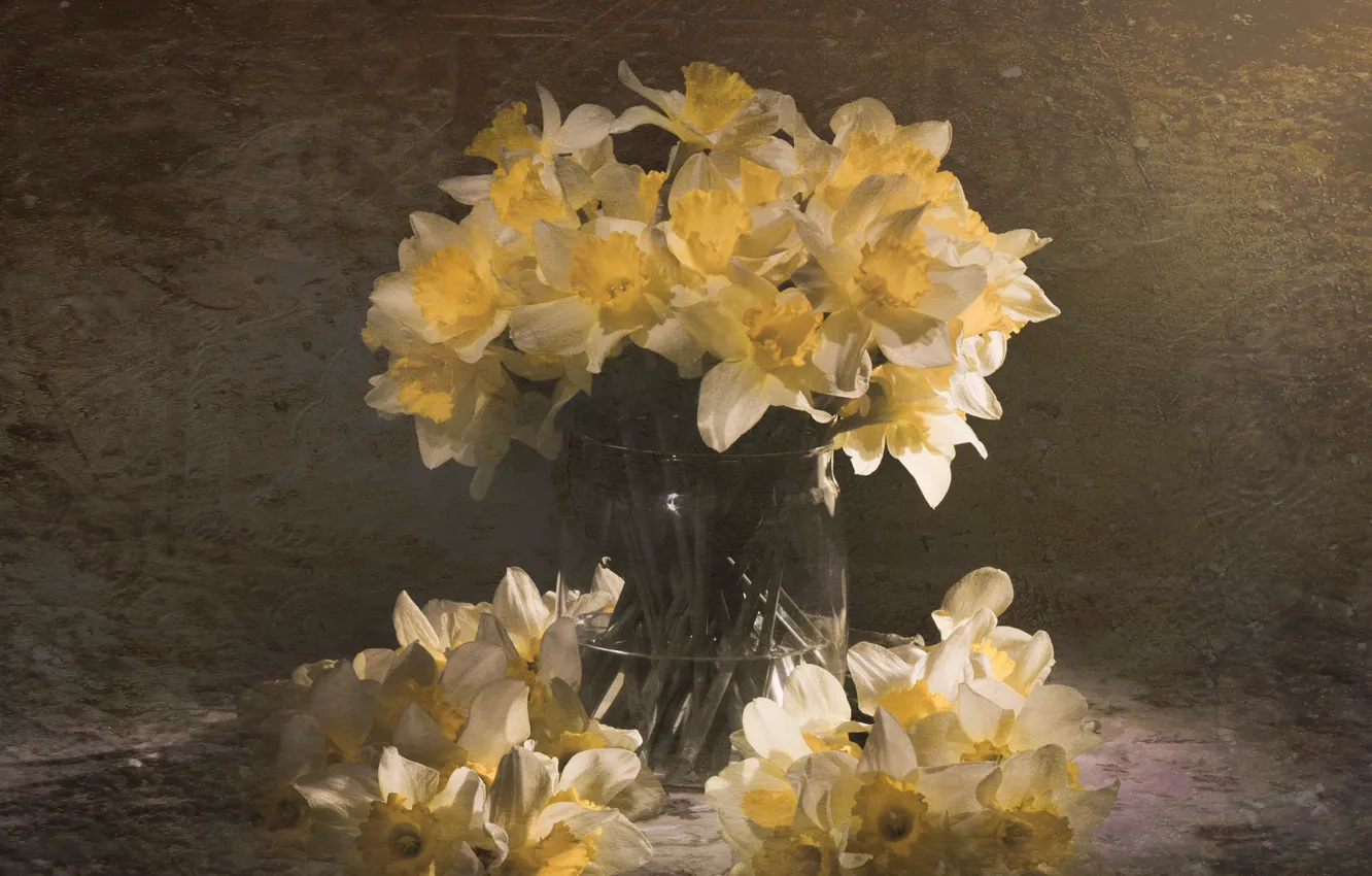 Фото обои цветы, желтые, натюрморт, нарциссы