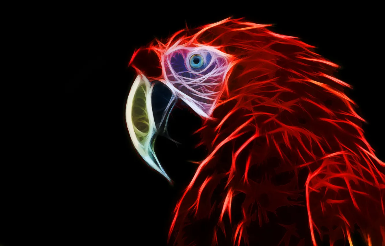 Фото обои parrot, ara, fractal, fractal art