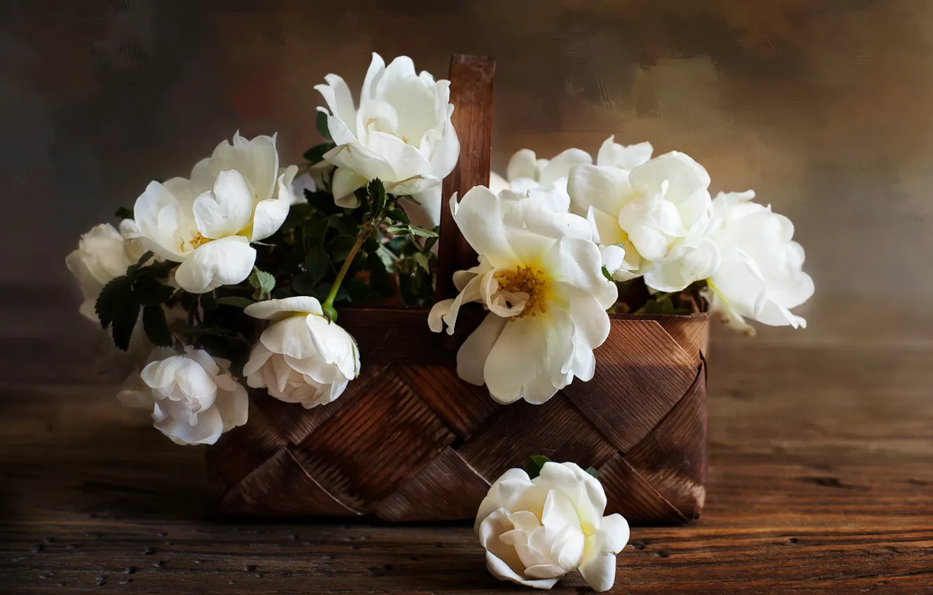 Фото обои розы, корзинка, белые розы