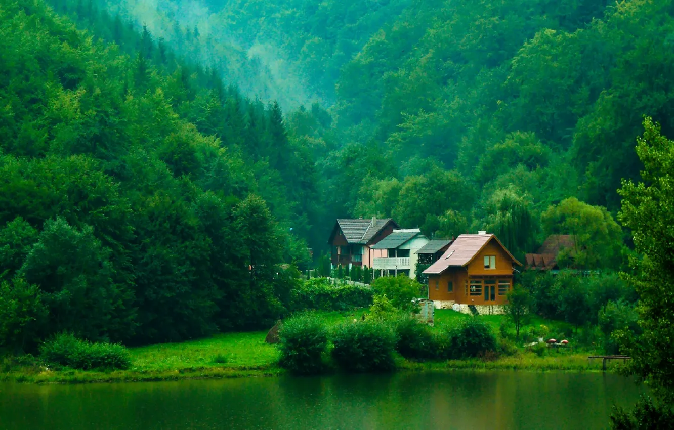 Фото обои зелень, лес, деревья, река, домики, кусты
