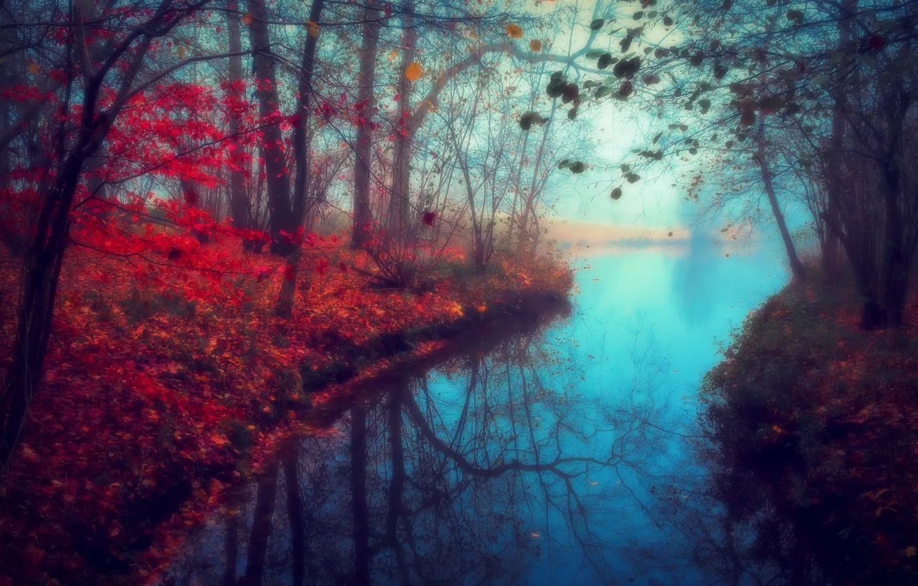 Фото обои осень, природа, река