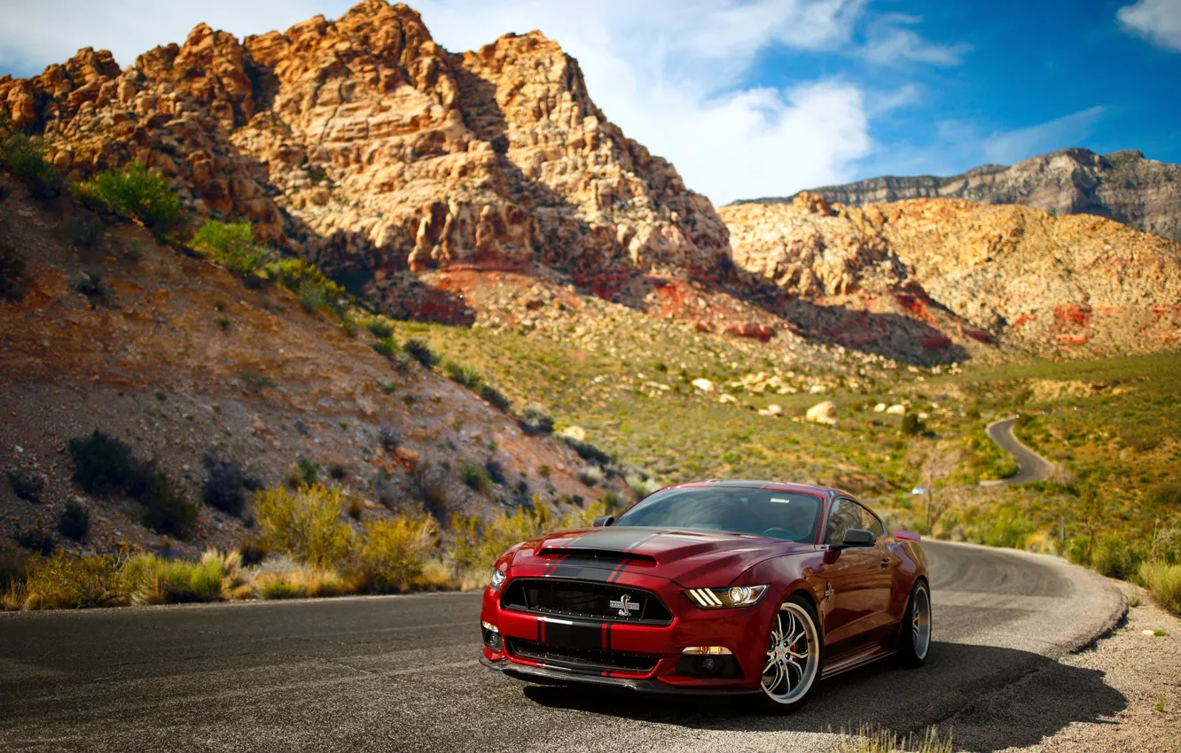 Ford Mustang Shelby gt500 РѕР±РѕРё 4Рє