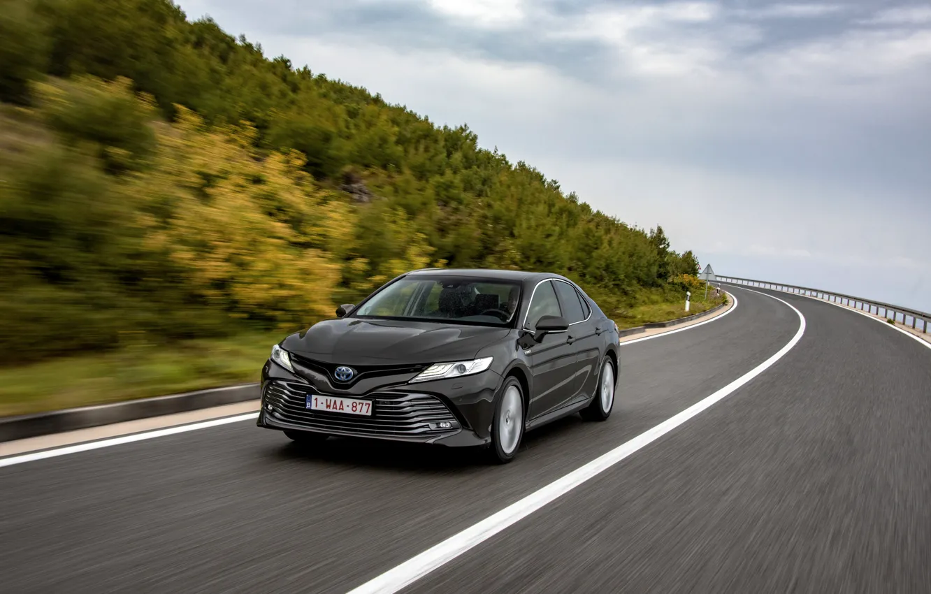 Фото обои растительность, скорость, склон, Toyota, седан, Hybrid, Camry, 2019