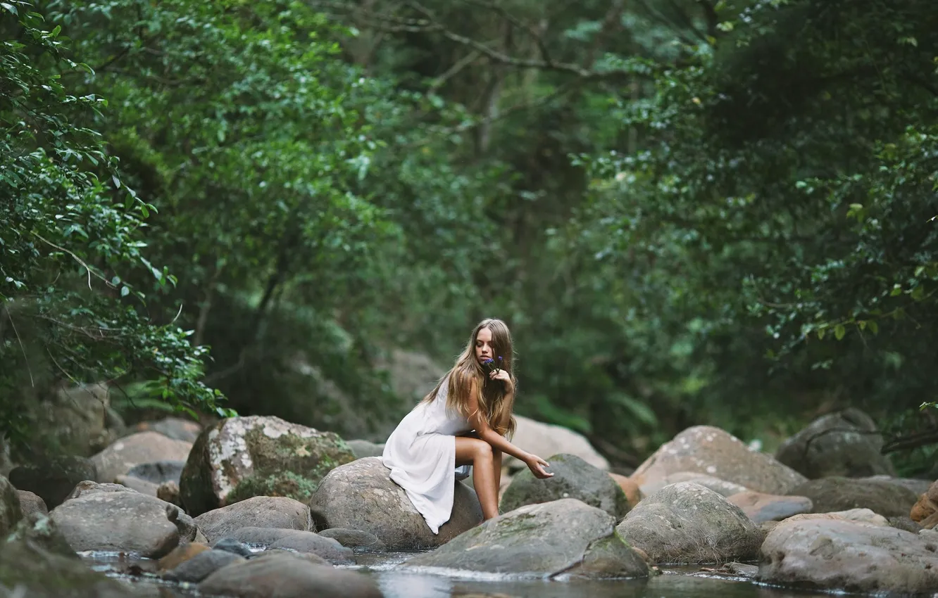 Фото обои Girl, Water, Alone, Wallpaper, Widescreen, Rocks, Mood, Trees