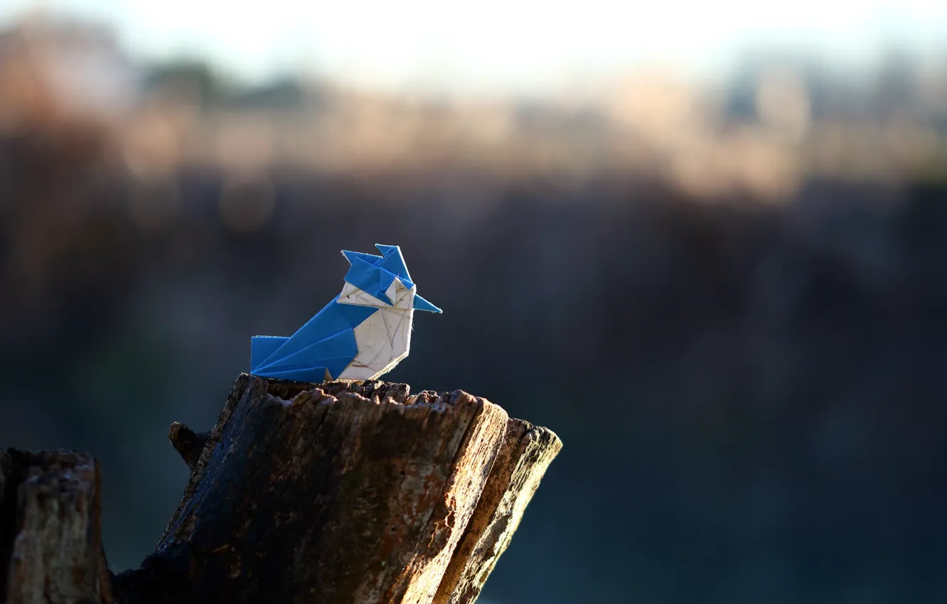 Фото обои бумага, птица, origami, Crested Kingfisher