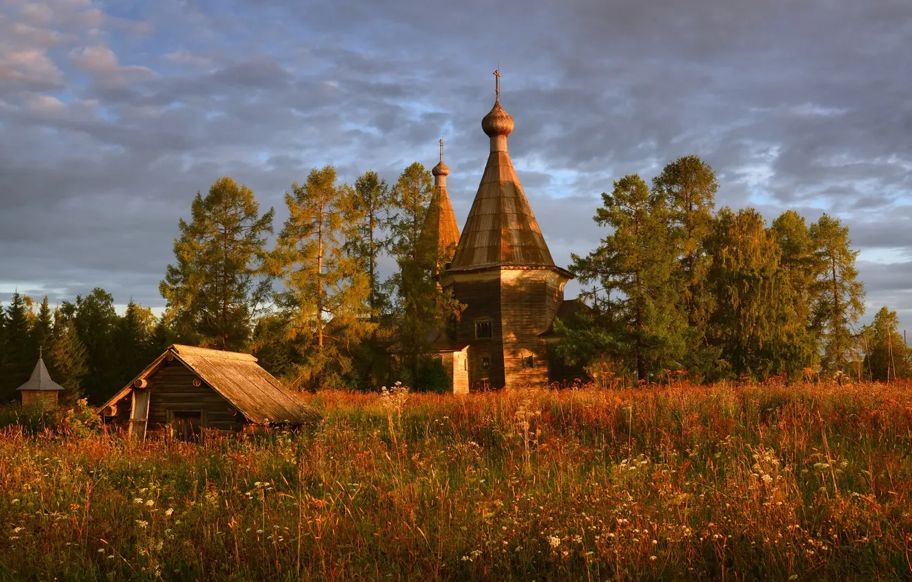 Фото обои поле, сосны, Россия, архитектура, деревянное зодчество