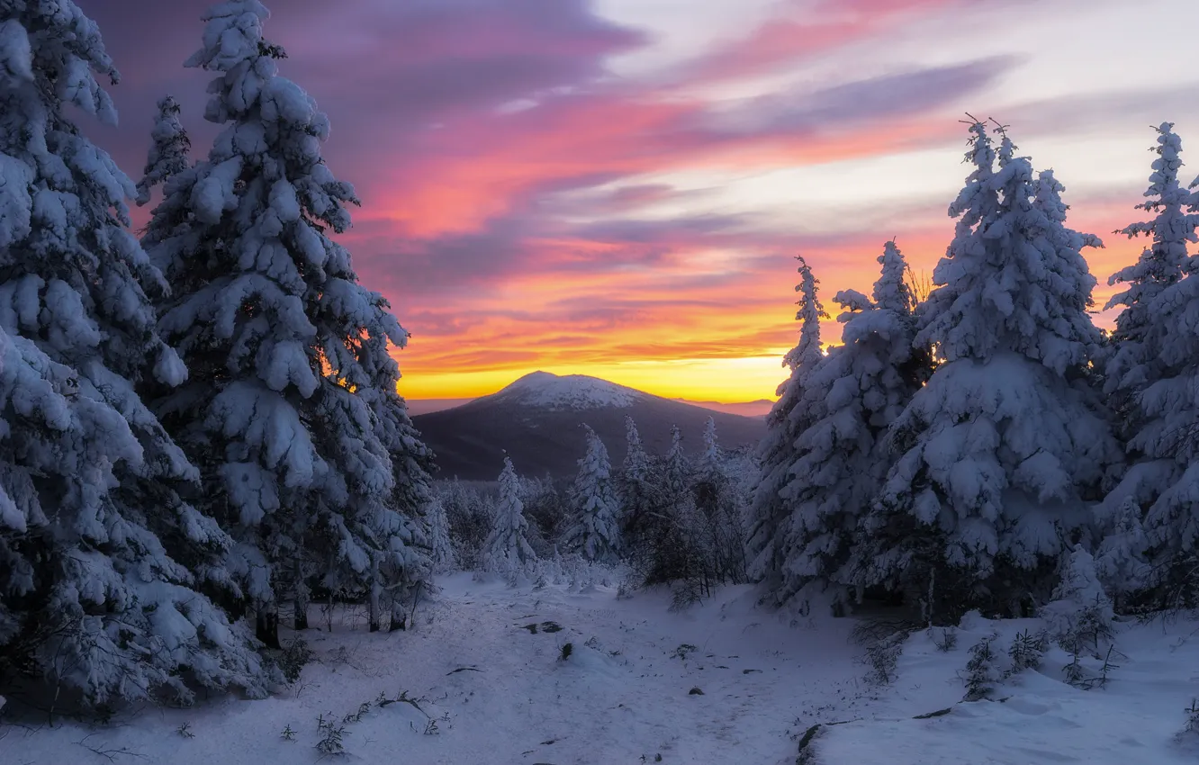 Фото обои зима, лес, снег, деревья, закат, гора, ели, Россия