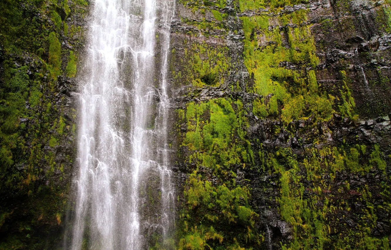 Фото обои водопад, Гавайи, USA, США, Hawaii, Национальный парк Халеакала, Maui, Haleakalā National Park