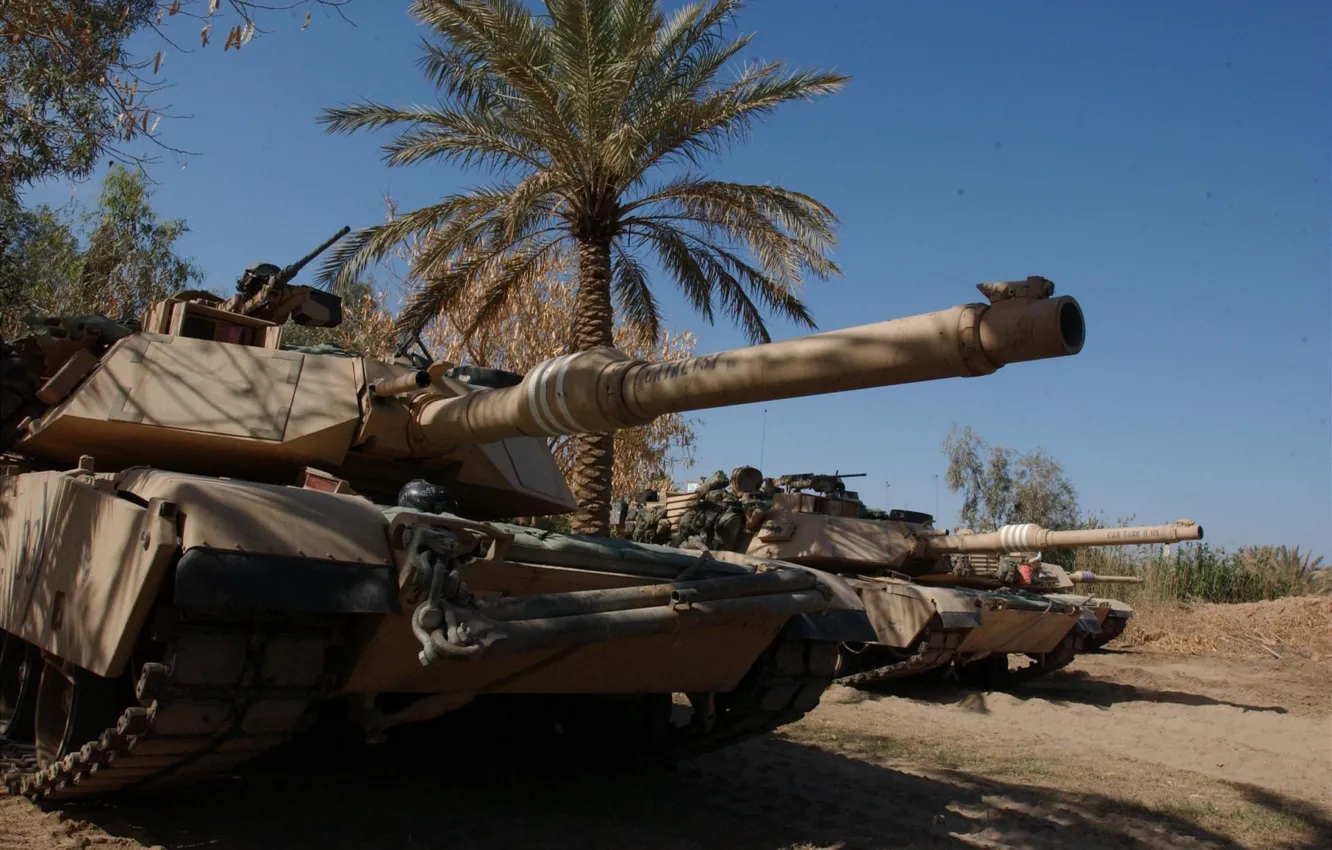 Фото обои пальма, танк, usa, abrams, военная техника