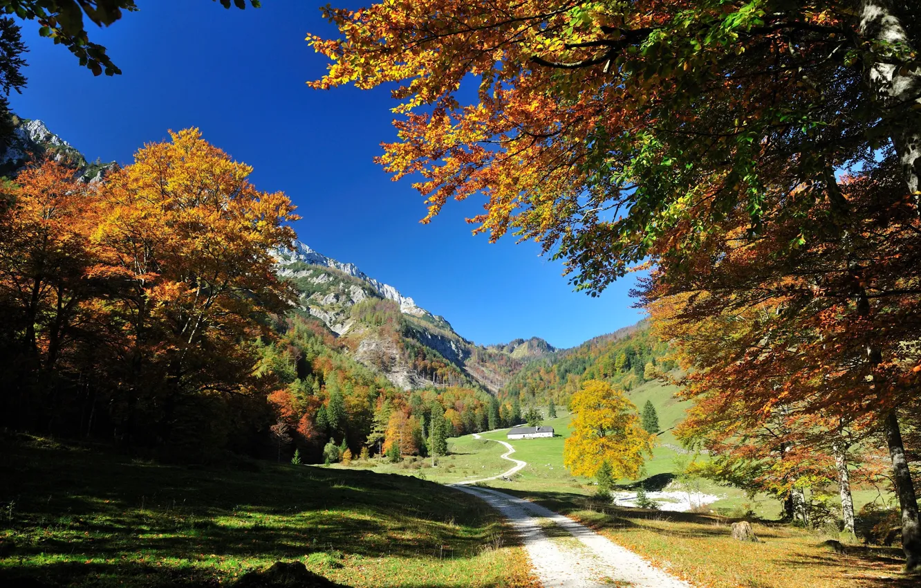 Фото обои Природа, Горы, Осень, Лес, Nature, Autumn, Mountains, Forest