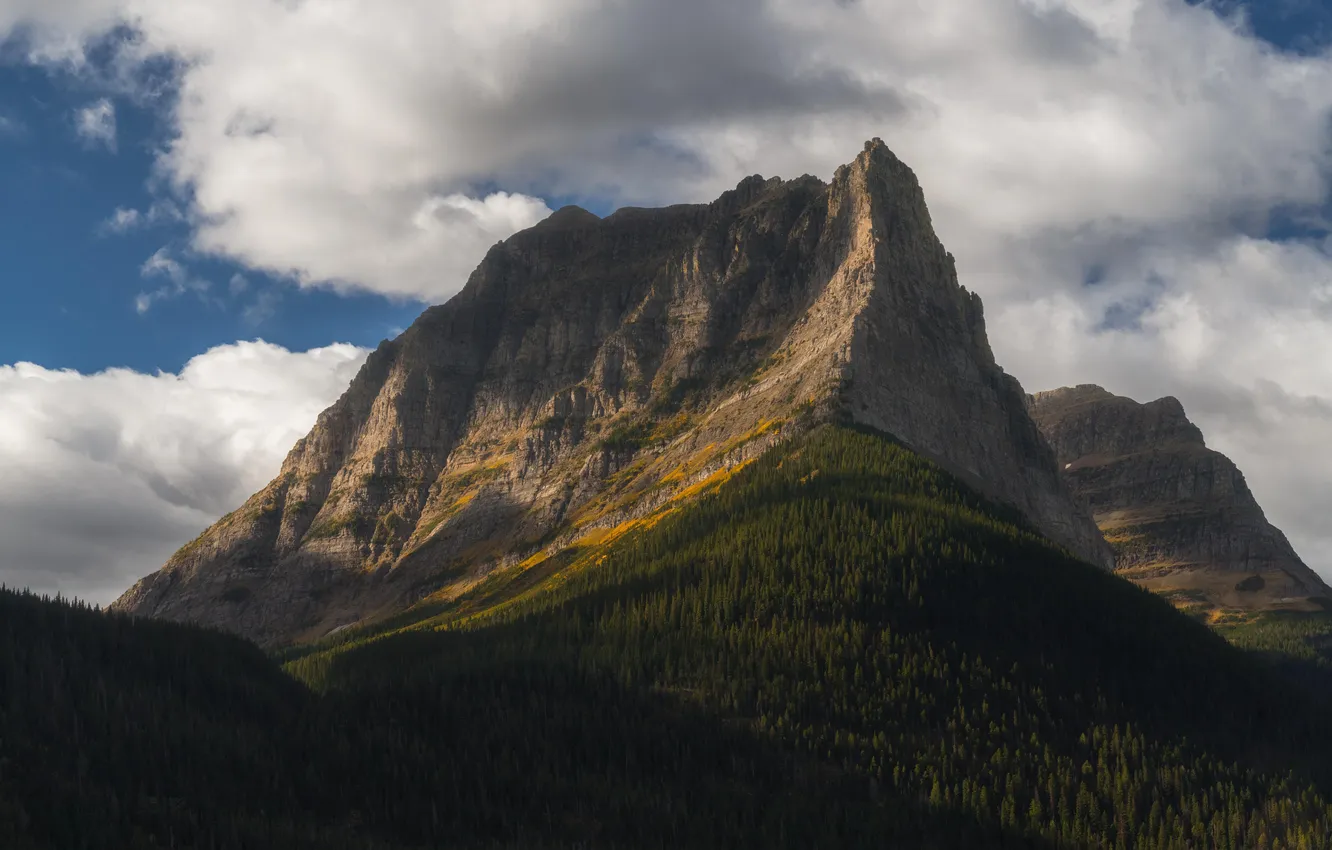 Фото обои forest, landscape, nature, clouds, Glacier National Park, Montana, cliff