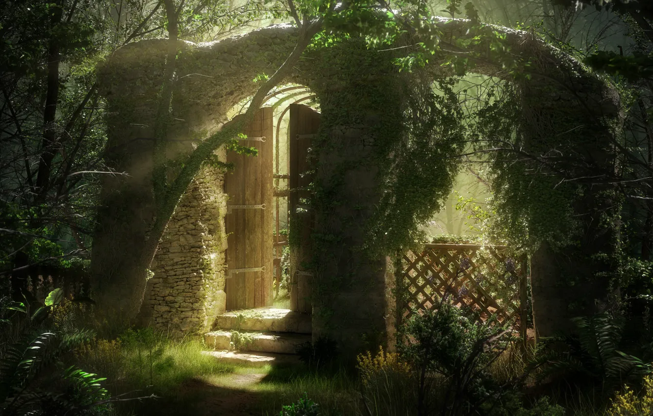Фото обои свет, растительность, арка, ступени, Overgrown Garden
