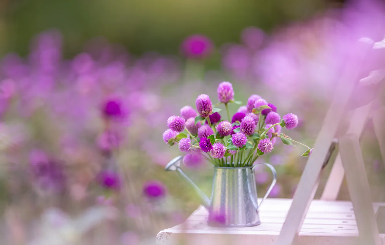 Фото обои цветы, букет, клевер