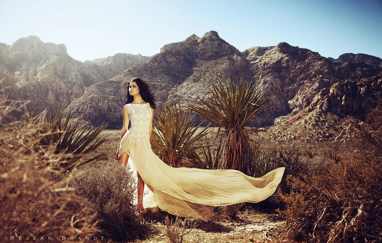 Фото обои девушка, горы, пустыня, модель, кактусы, плотье