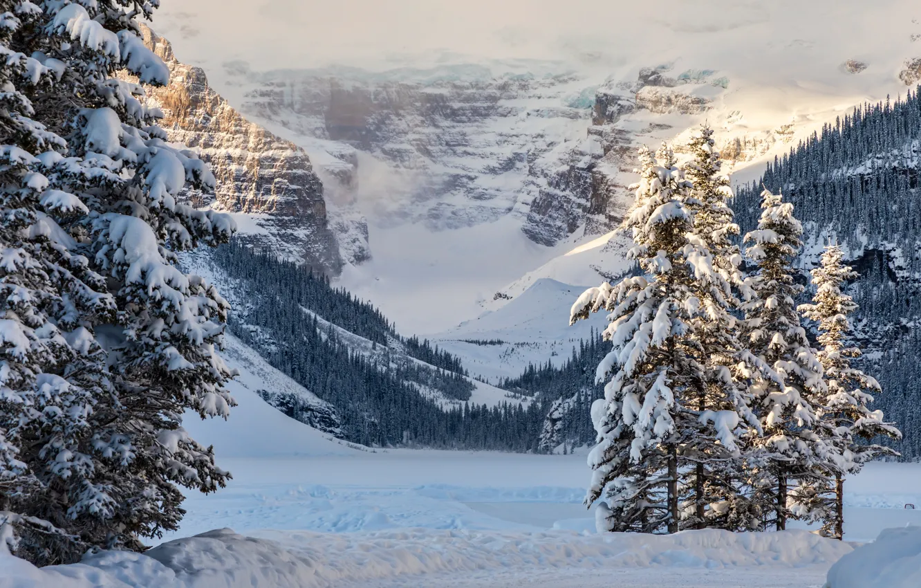 Фото обои зима, снег, деревья, горы, озеро, ели, Канада, Альберта