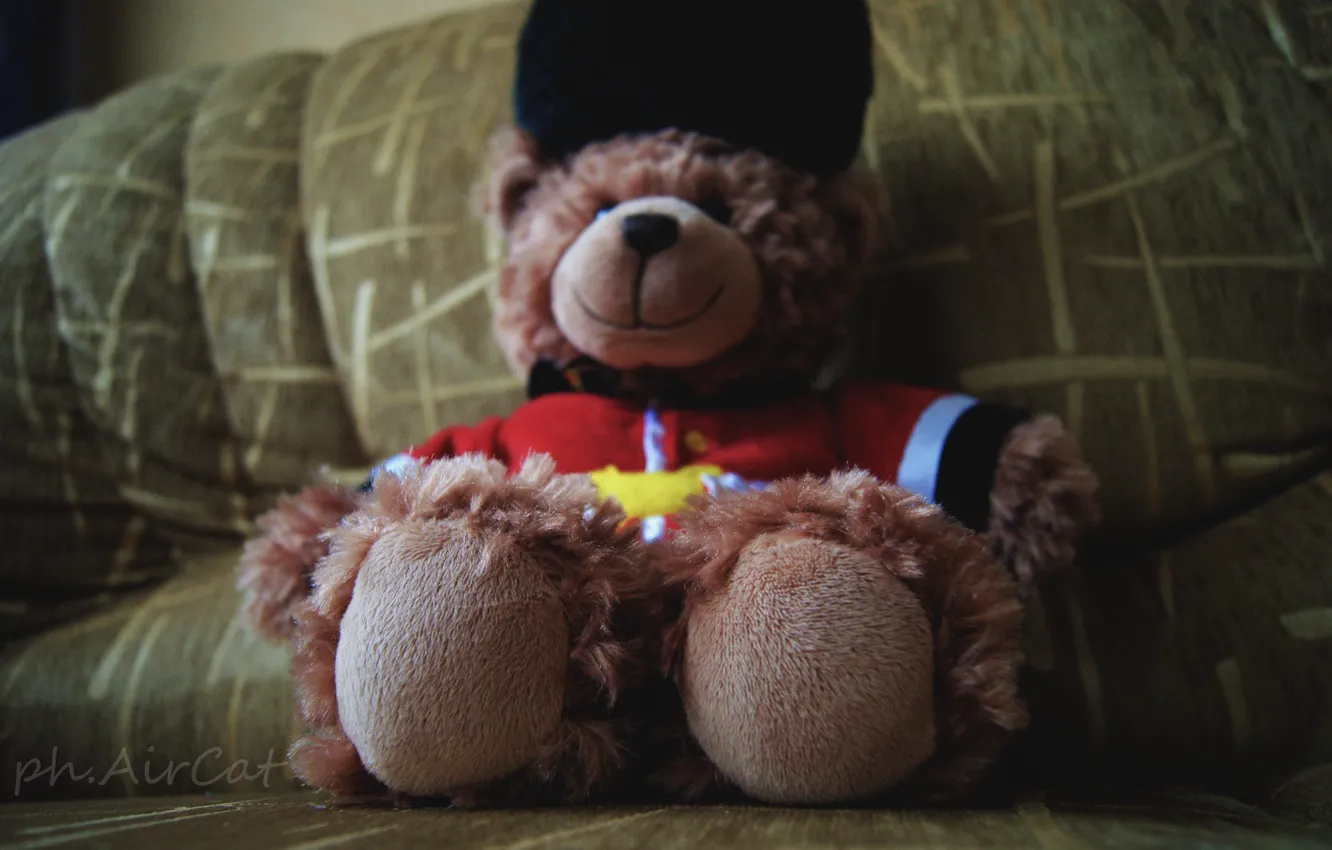Фото обои игрушка, мишка, медвежонок, bear, teddy, teddy bear