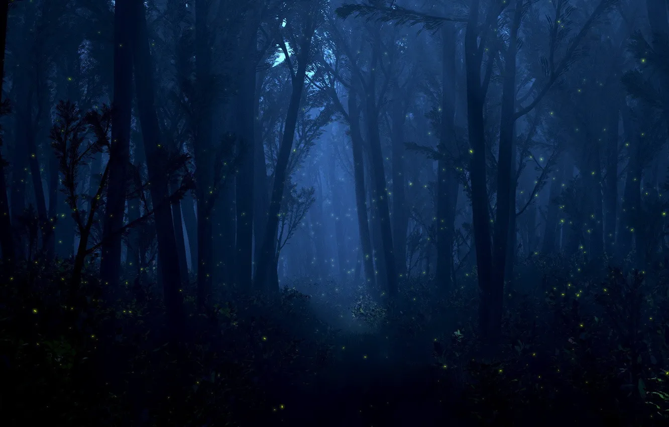 Фото обои лес, свет, деревья, ночь, светлячки, огоньки