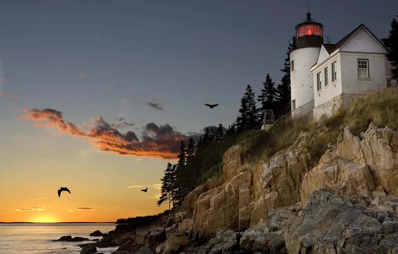 Фото обои закат, птицы, скала, маяк, чайки, порт, залив, США