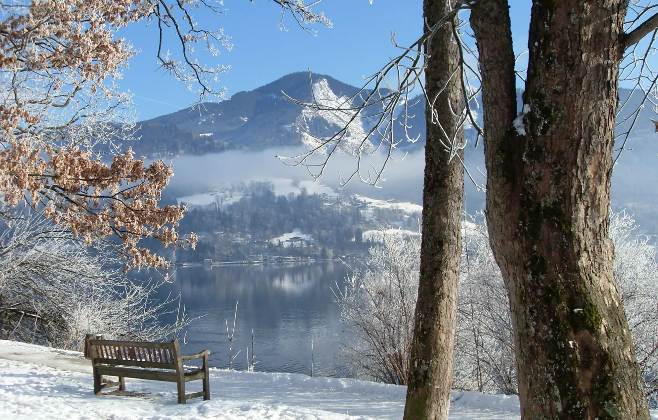 Фото обои зима, деревья, скамейка, река