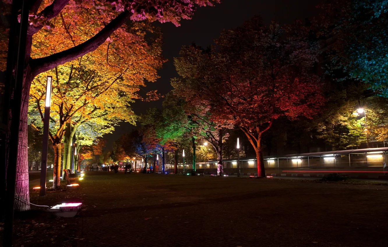 Фото обои деревья, ночь, город, лампы, улица, Германия, освещение, подсветка