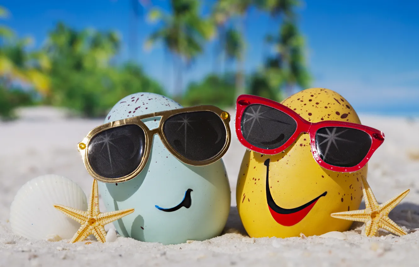 Фото обои summer, happy, beach, eggs, funny, glasses, cute, tropical