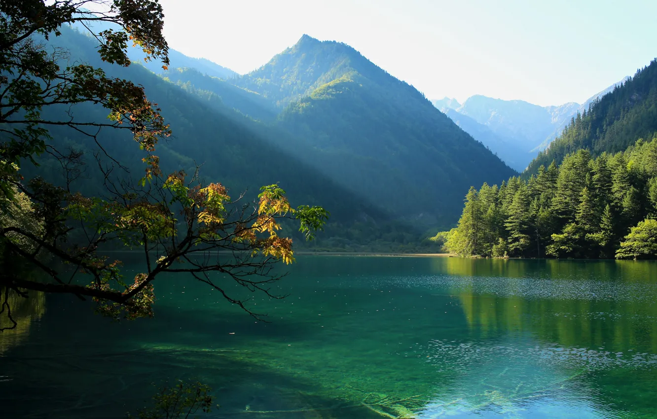 Фото обои солнце, деревья, горы, ветки, озеро, красота, Китай, Jiuzhaigou National Park