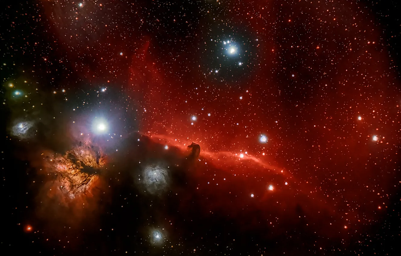 Фото обои Конская Голова, Ориона, в созвездии, тёмная туманность