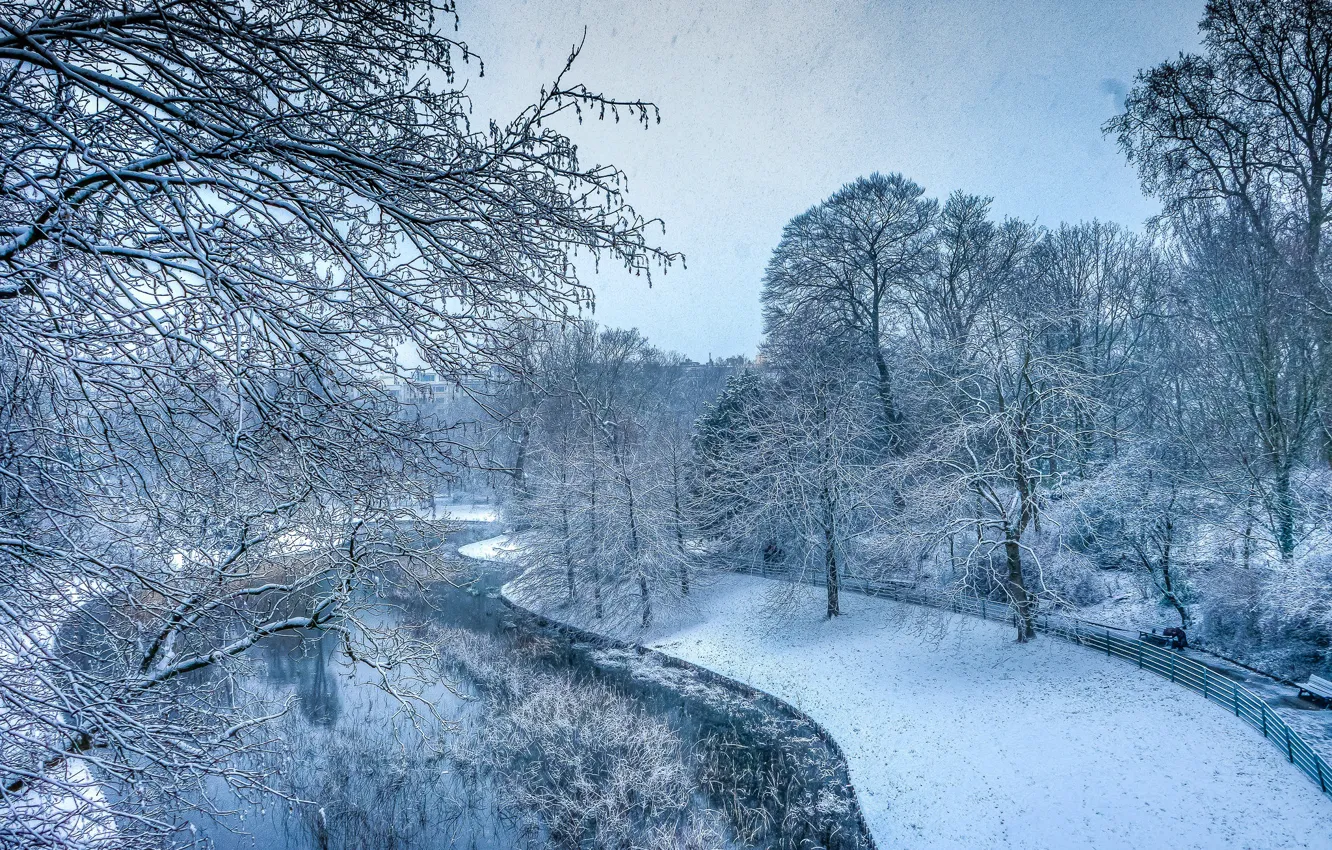 Фото обои зима, снег, деревья, озеро, парк, отражение