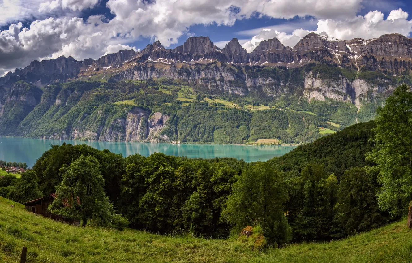 Фото обои деревья, горы, озеро, Швейцария, Альпы, луг, панорама, Switzerland