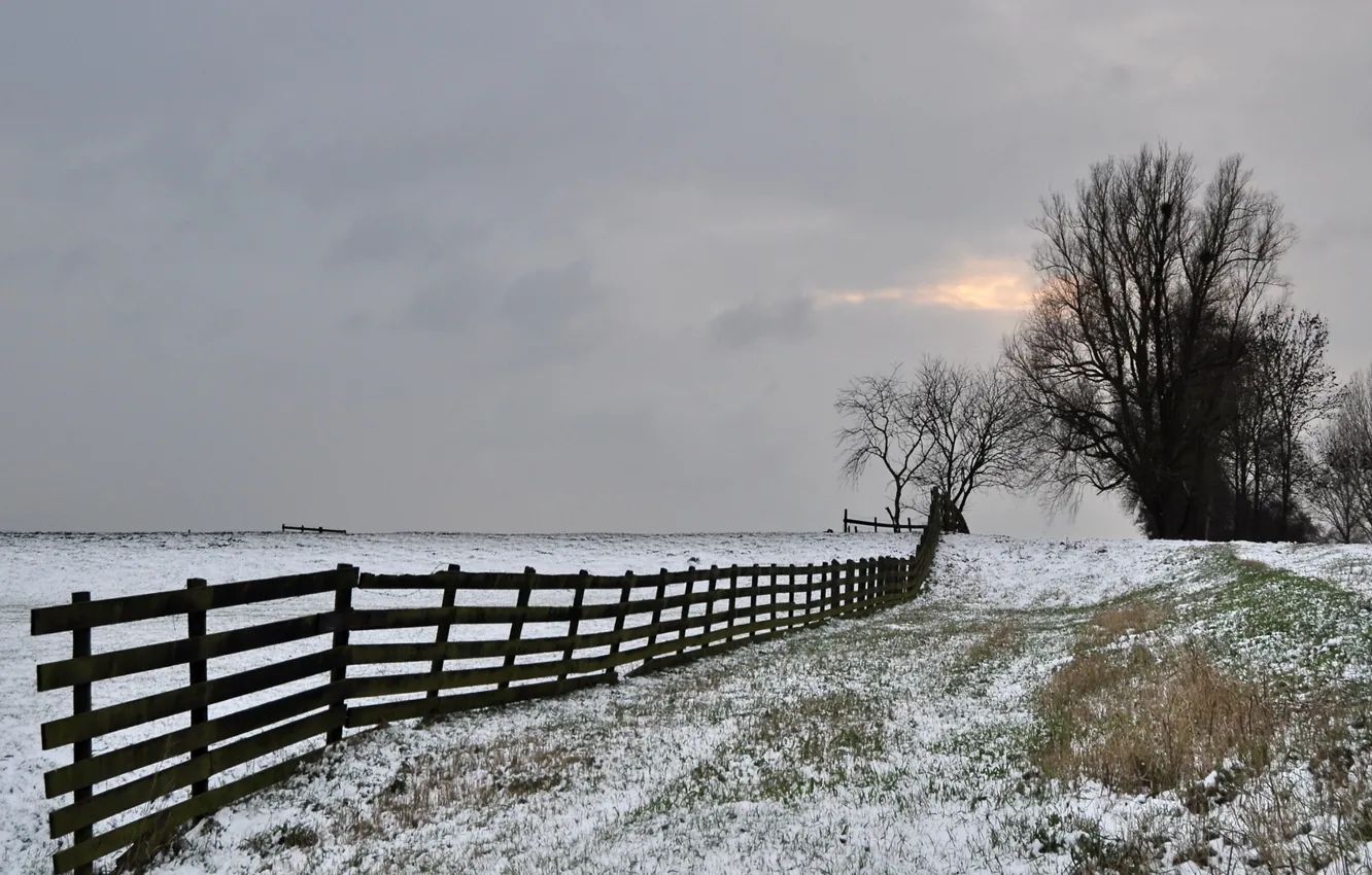 Фото обои зима, иней, поле, небо, деревья, забор, серое