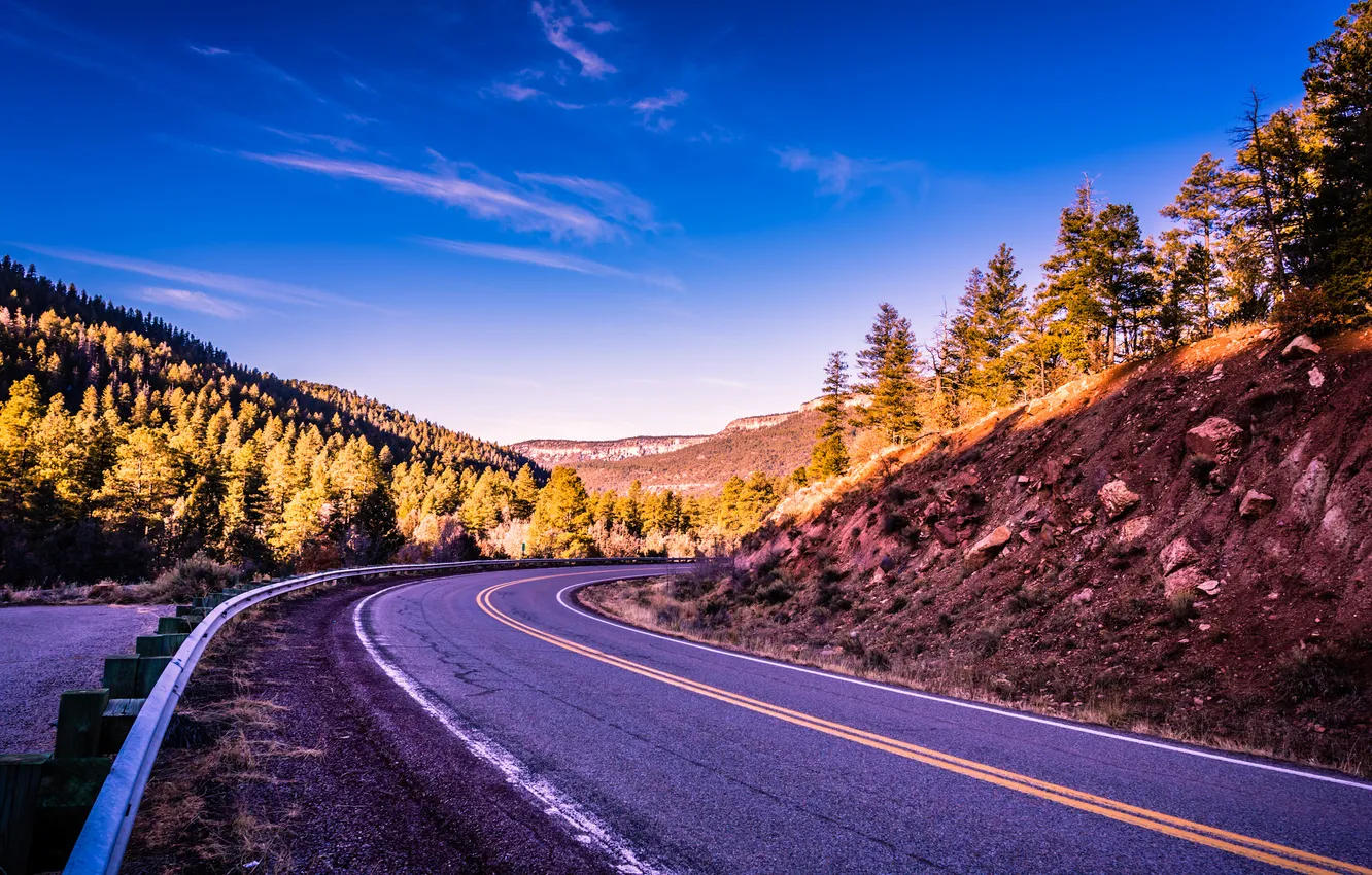 Фото обои дорога, лес, горы, США