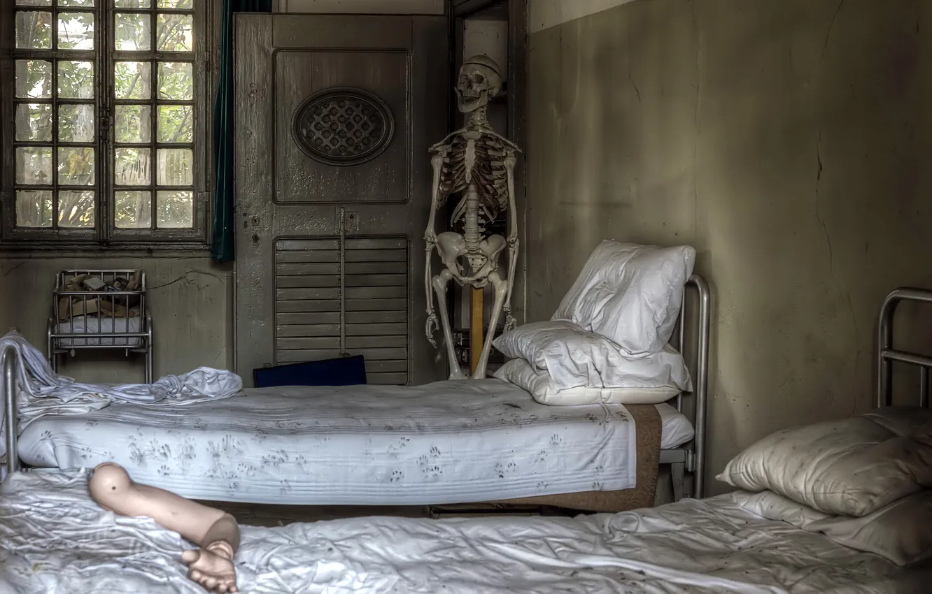 Фото обои интерьер, скелет, спальня