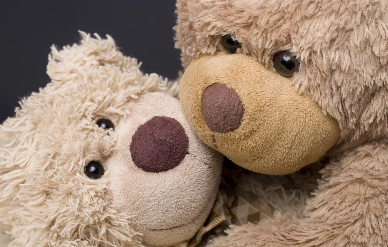 Фото обои романтика, игрушки, медведи, мишки, плюшевые, teddy bear, bears