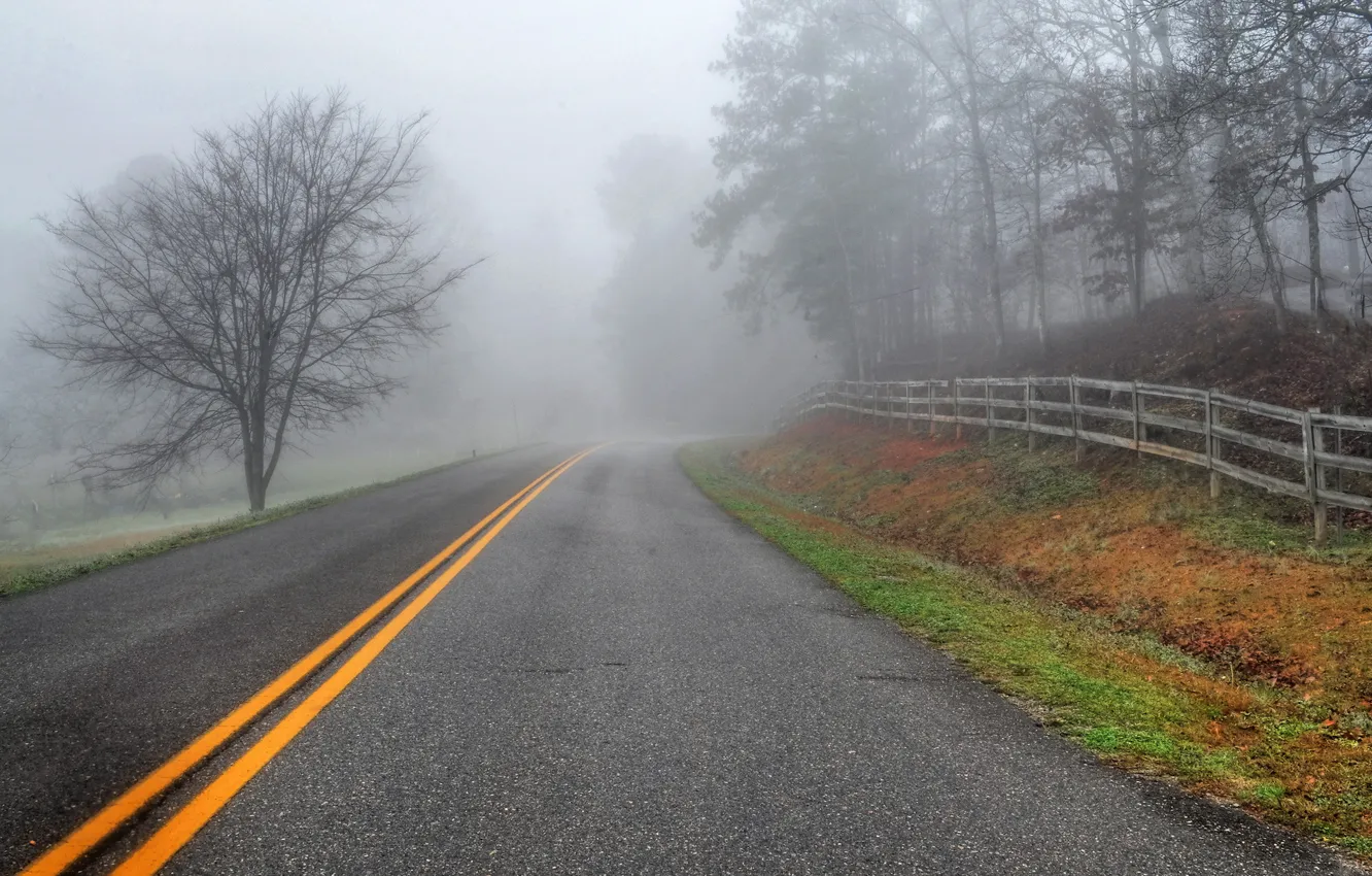 Фото обои дорога, пейзаж, туман, забор