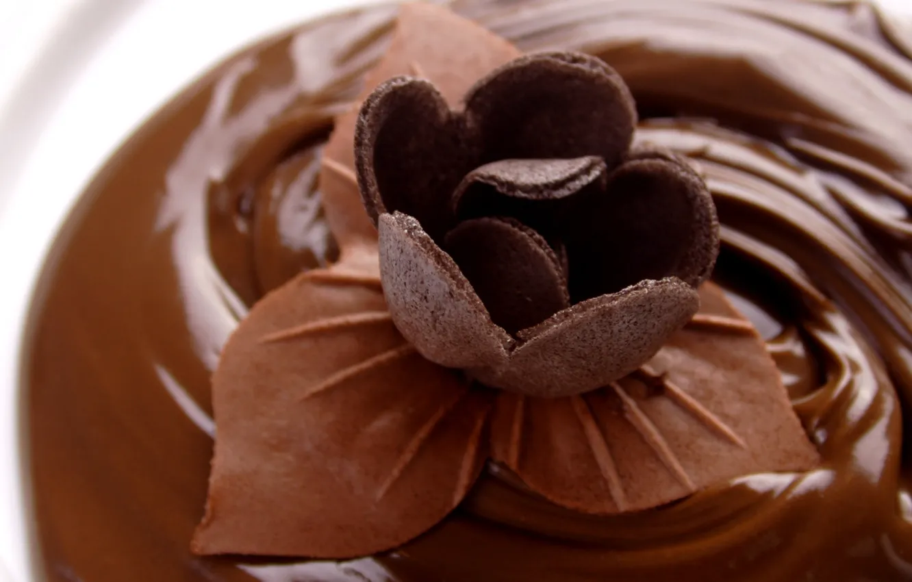 Фото обои еда, сладкое, коричневый фон, шоколад. шоколадный цветок