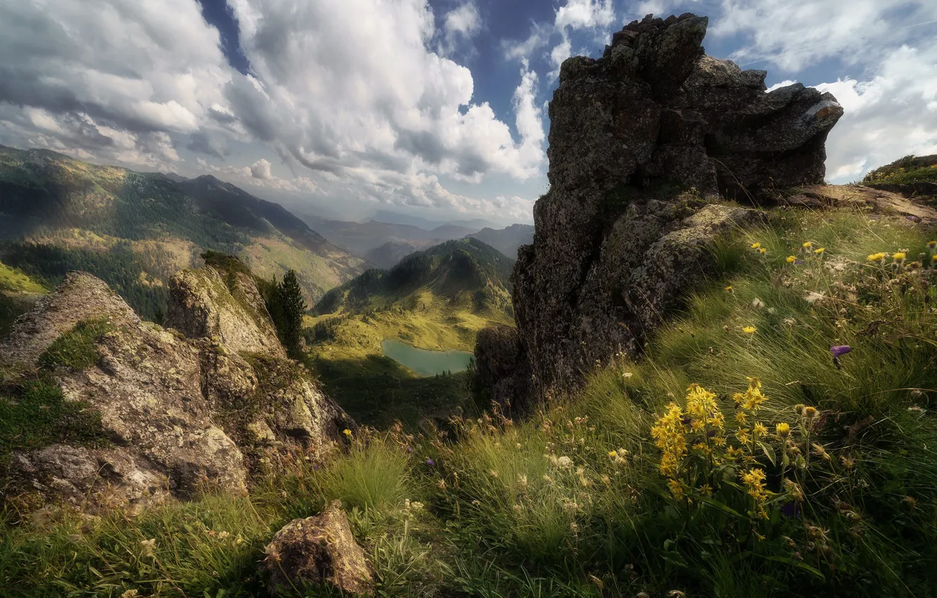 Фото обои цветы, горы, озеро, камни, скалы, высота