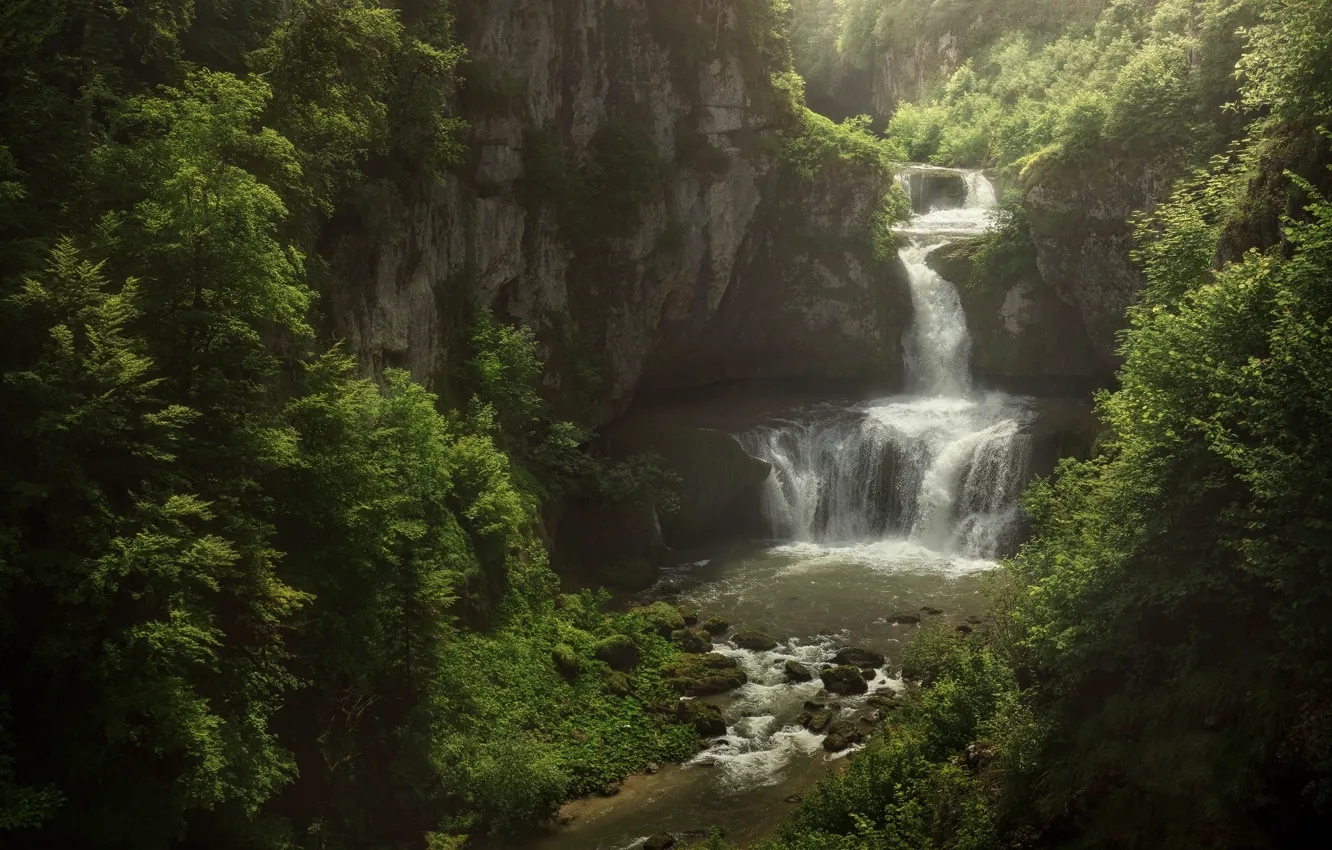 Фото обои лес, природа, река, скалы, водопад