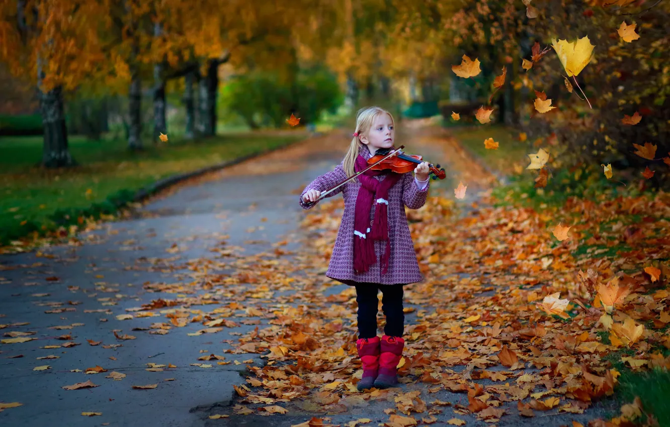Фото обои осень, листья, природа, скрипка, девочка, аллея, ребёнок, Постонен Екатерина