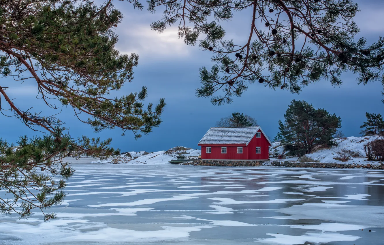 Фото обои зима, ветки, озеро, дом, лёд, Норвегия, сосна, Norway