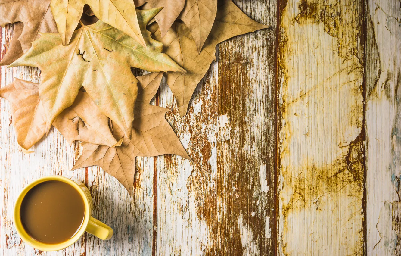 Фото обои осень, листья, фон, дерево, кофе, чашка, wood, background