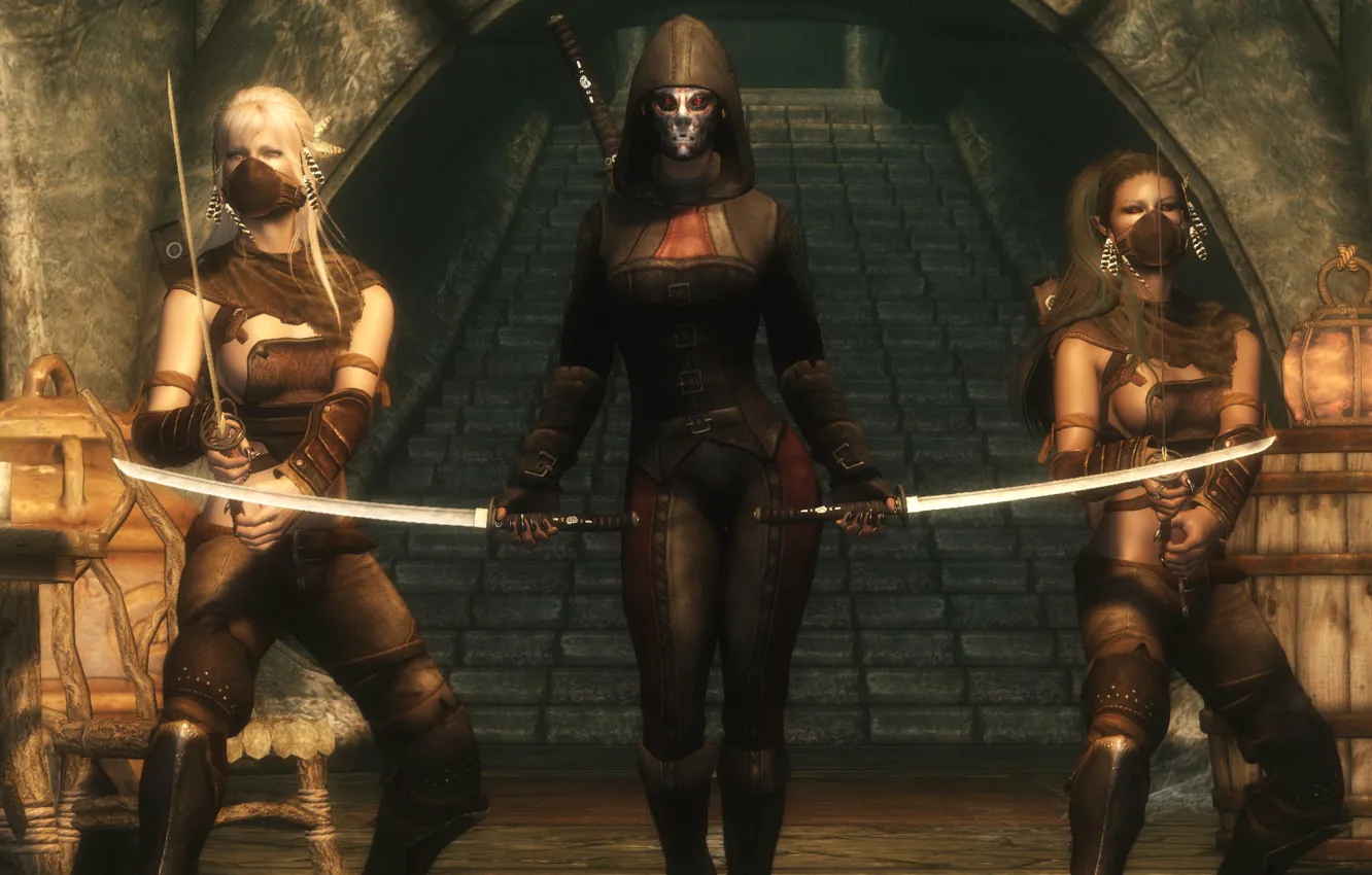 Фото обои девушка, меч, скайрим, Skyrim, The Elder Scrolls V, мод