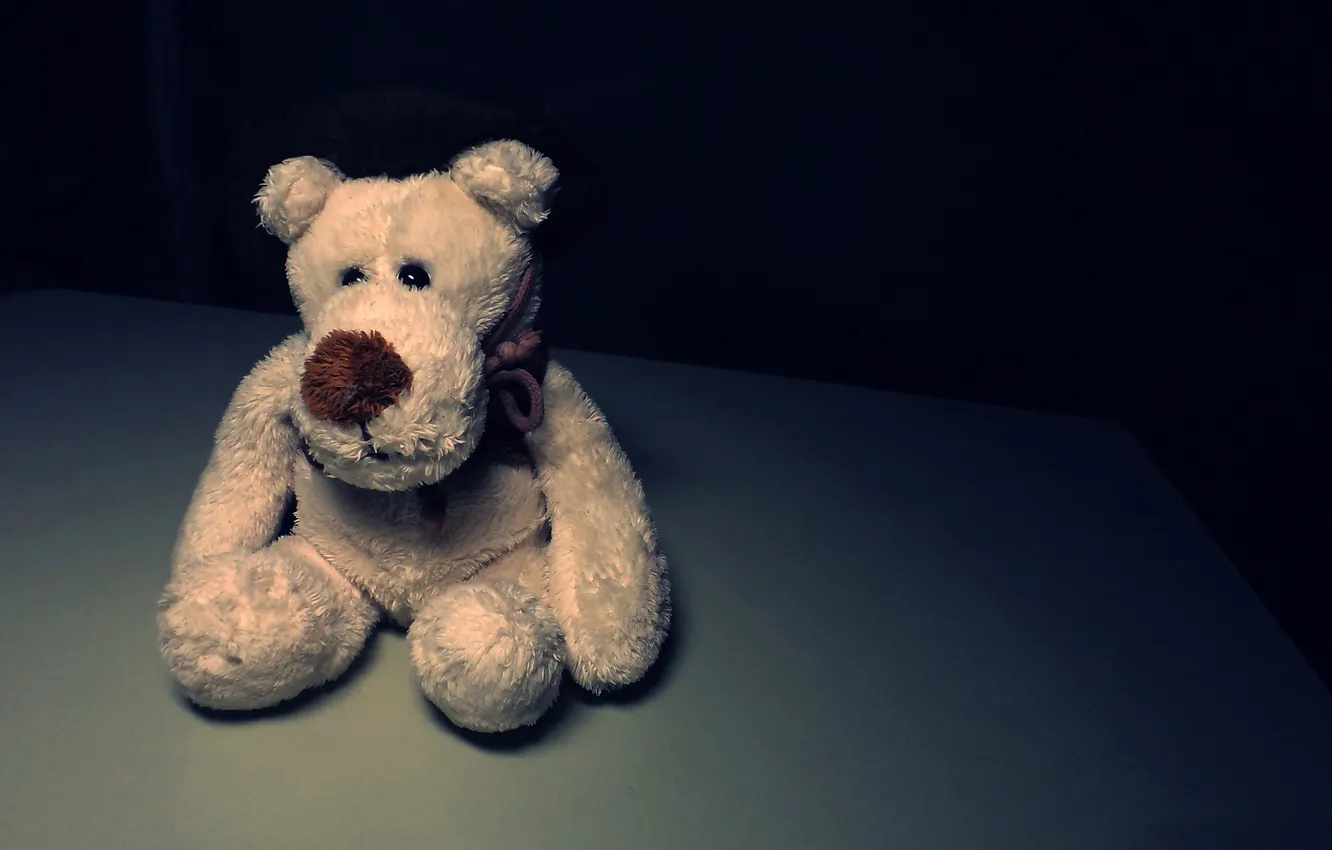 Фото обои одиночество, игрушка, медведь