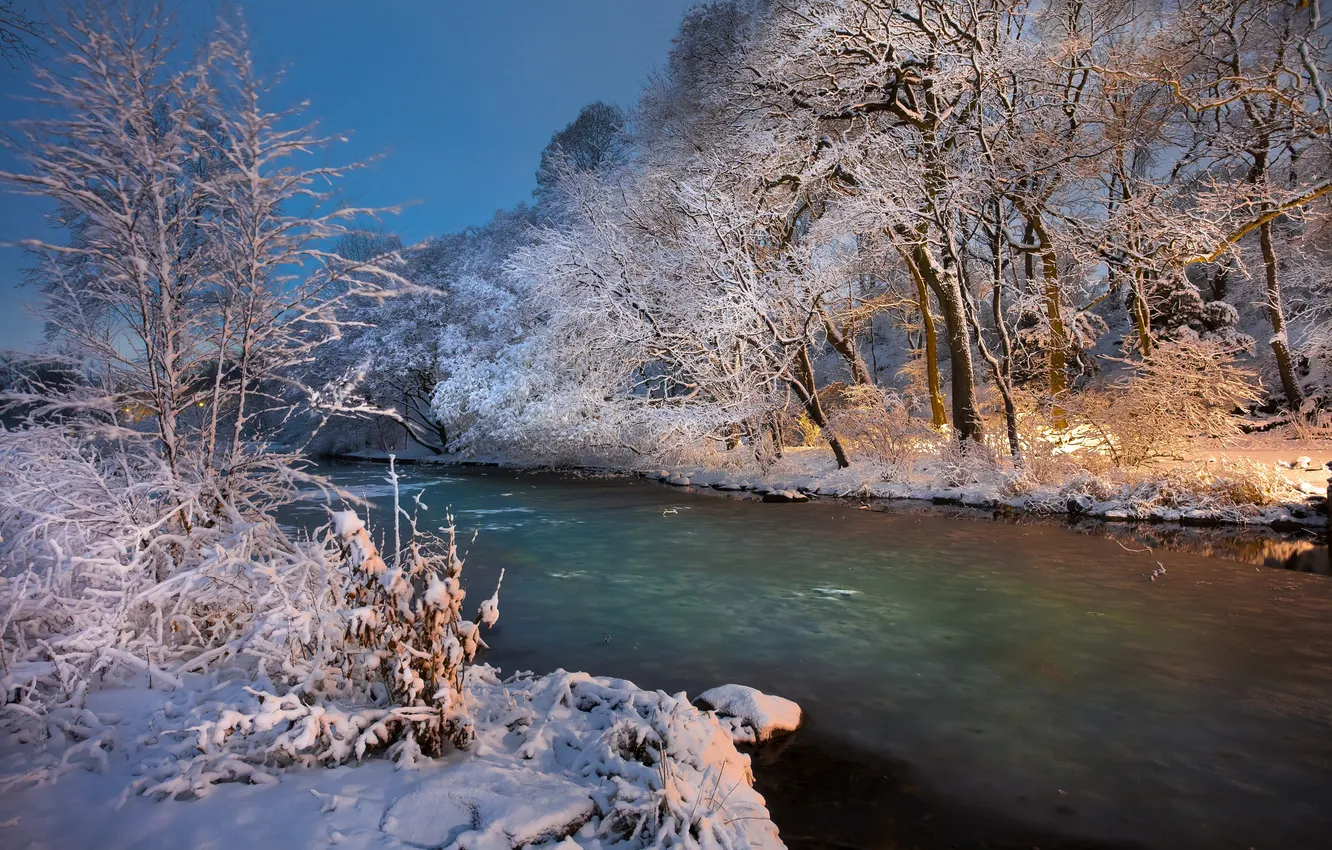Фото обои снег, деревья, река