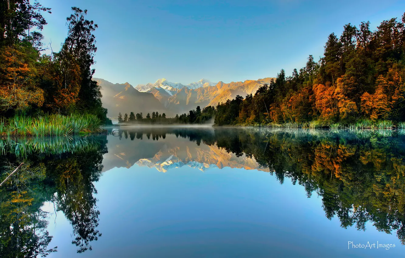 Фото обои лес, отражения, горы, озеро, Новая Зеландия, Южный остров, Национальный парк Вестленд, Ледник Фокса
